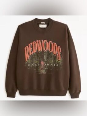 Abercrombie & Fitch Chocolate Brown Redwoods Crewneck Sweatshirt Size Large